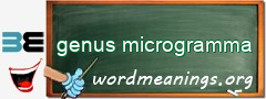 WordMeaning blackboard for genus microgramma